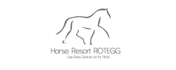 webdesign bauunternehmen handwerk nadine freitag findyourdesign pferd horse logo 17